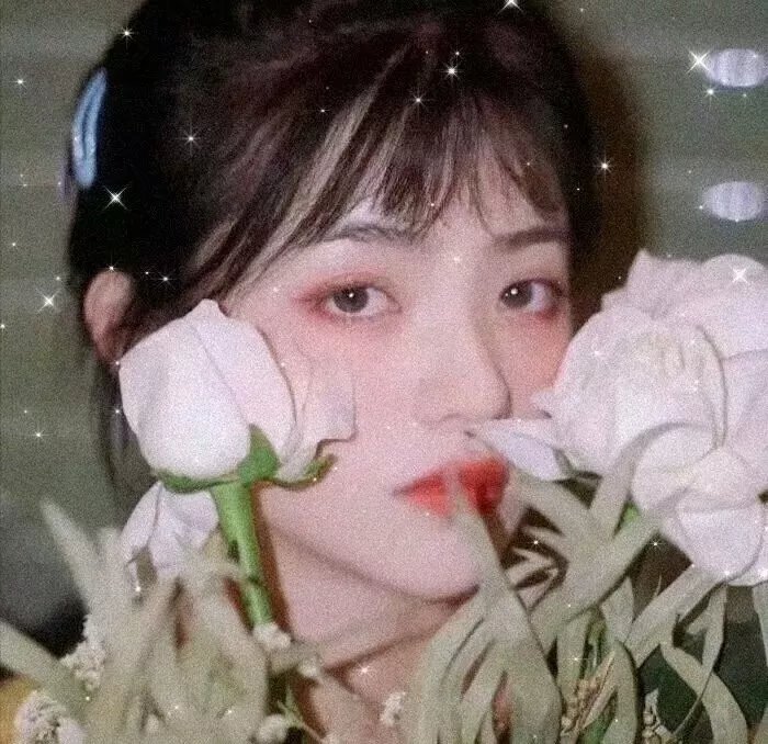 树篱女巫