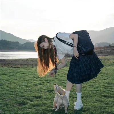 疯狂农庄:动物也开趴